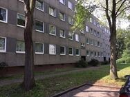 Nette Nachbarn gesucht: weitläufige 3-Zimmer-Wohnung - Kassel