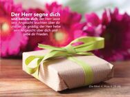 Christliche Postkarten - Edition Katzenstein - Postkarte: Geschenk vor Blumen - Karten mit Tiefgang - NEUWARE - Wilhelmshaven Zentrum