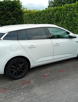 renault Megane 1,2 l, Bj. 2018, 59.000km. top - Leopoldshöhe