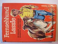 Jugendbuch Fernsehhund Lassie - Kassel