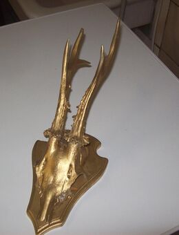 Dekogeweih goldfarben - Erwitte