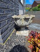 Pflanzschale Pflanzkübel stein in 41065