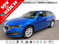 Skoda Octavia, 1.5 Combi E Style, Jahr 2023 - Schorfheide