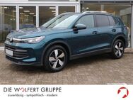 VW Tiguan, 2.0 l TDI Life (150 ), Jahr 2024 - Bürgstadt