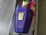 Xerjoff - Accento (100 ml) - Bruchköbel