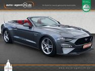 Ford Mustang GT 5.0 V8 /Schropp500/1.Hd./Schalter - Dresden