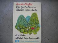 Die Geschichte vom kleinen roten Auto das lieber Milch trinken wollte,Ursula Lixfeld,Engelbert,1971 - Linnich