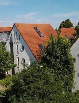 Über den Dächern von Mainz! 2 ZKB-Dachstudiowohnung mit Dachterrasse in UNI-Nähe - Mainz