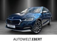 Skoda Octavia, 2.0 TSI Combi Scout, Jahr 2023 - Heidelberg