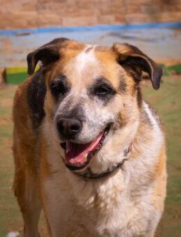 Papi sicht seine Familie - Ratekau