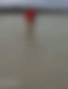 Amm*** - Buchholz (Nordheide)