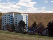 Naturnahes Wohnen mit Weitblick Willkommen im Knappenweg in Neunkirchen-Salchendorf - Neunkirchen (Nordrhein-Westfalen)