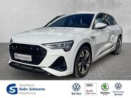 Audi e-tron, 50 S line quattro LM, Jahr 2022 - Haselünne