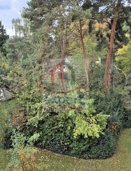 Bezugsfreie 3 oder 4 Zimmer Eigentumswohnung Nähe Siemens Campus zu kaufen - Erlangen