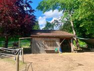 Offenstall zu verkaufen - Leutkirch (Allgäu) Zentrum