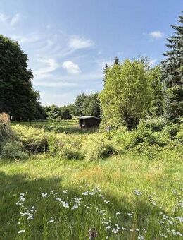 Unverbauter Blick Richtung Süden - Burgdorf (Landkreis Region Hannover)