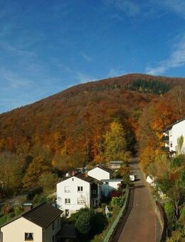 Helle 3-Zimmer-Eigentumswohnung mit Panoramablick in Neckarsteinach - Neckarsteinach