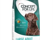 12 kg Concept for Life zum Sonderpreis! - Large Adult
