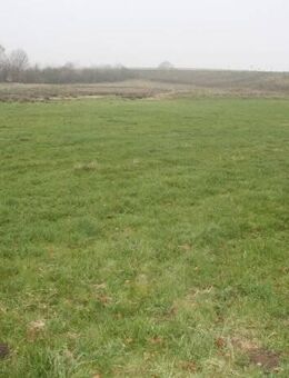 Resthof in Alleinlage mit zwei Wohnungen auf 44.000 m² Grundstück bei Hademarschen - Hanerau-Hademarschen