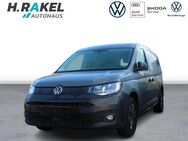 VW Caddy, 2.0 TDI Maxi Cargo, Jahr 2022 - Geeste