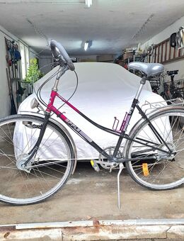 28 er damenrad, fahrrad, rad - Gräfelfing