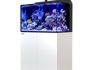 RedSea MAX E260 Meerwasser Aquarium - Krefeld