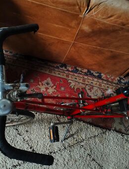 Vintage Rennrad La Donna - Itzehoe