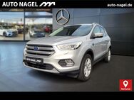 Ford Kuga, 1.5 EcoBoost Cool&Connect Winter Pkt, Jahr 2018 - Nettetal