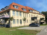 2-ZIMMER WOHNUNG DER EXTRAKLASSE - SOFORT BEZUGSFREI - Pirna