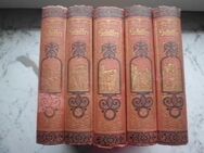 Schillers Werke in 12 Bänden, Cotta'sche Buchhandlung 1875, Einleitungen von Karl Goedeke, 5 Bücher zus. 9,- - Flensburg