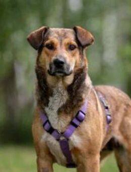 Soziale Rita sucht ihre Menschen - Duisburg