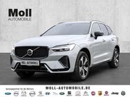 Volvo XC60 Plus Dark Recharge Plug-In Hybrid AWD T8 Twin Engine EU6d Allrad StandHZG digitales Cockpit - Aachen