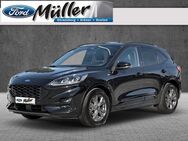 Ford Kuga, 2.0 Hybrid ST-Line X EcoBlue, Jahr 2020 - Strausberg