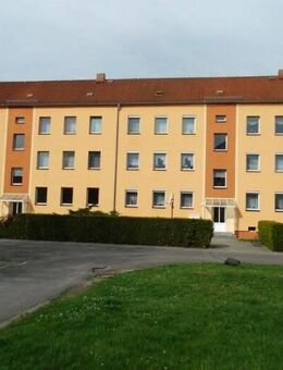 3 Raumwohnung - Renovierung nach Mieterwunsch - Lauta