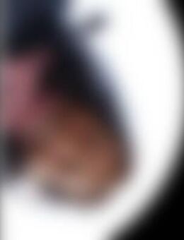 Ste*** - Neubrandenburg