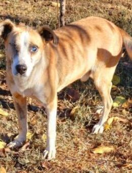 ALEXANDER läuft die Zeit davon... - Weiterstadt