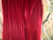 Clip in Extensions 50cm Rot - Homberg (Ohm)