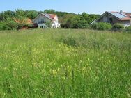 schönes großzügiges Baugrundstück in ruhiger Ortsrandlage - Burgkirchen (Alz)