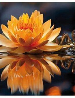 Bönninghoff Leinwandbild, Blumen, Blumenbilder, Natur, Pflanzen, Pflanzenbilder, Stillleben (1 St)