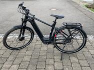 Flyer E-Bike - Kressbronn (Bodensee)