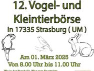 12. Vogel- und Kleintierbörse in Strasburg ( Um. ) - Strasburg (Uckermark) Zentrum