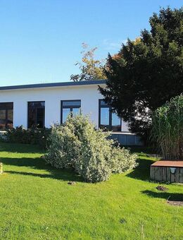 Leben am Wasser, vor den Toren von Greifswald - Mesekenhagen