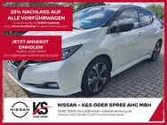 Nissan Leaf Tekna-OP 40kWh LED 360 BFS LM VL BL - Fürstenwalde (Spree)