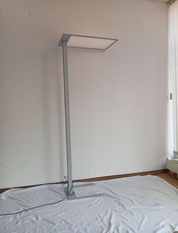 LED Stehleuchte, Büro Performance in Light, 4000 K, dimmbar - Kabelsketal