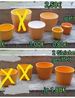 Übertöpfe Blumen gelb-orange Töne, 4 Bilder - Immenhausen