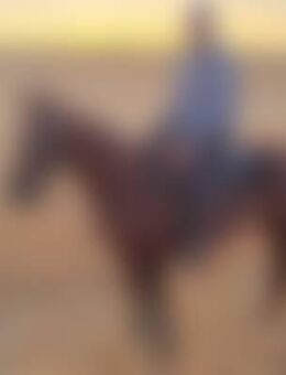 Max*** - Walpernhain