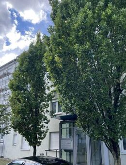 2-Zimmer-Erdgeschoßwohnung mit Terrasse zum sofortigen Bezug - Waiblingen