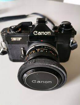 Fotoausrüstung Canon EF - Rhede