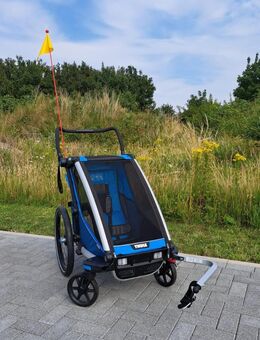 Thule Chariot Cross 1 Kinder-Fahrradanhänger - Heiligenhafen