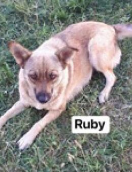 Ruby war neulich einfach da - Berlin